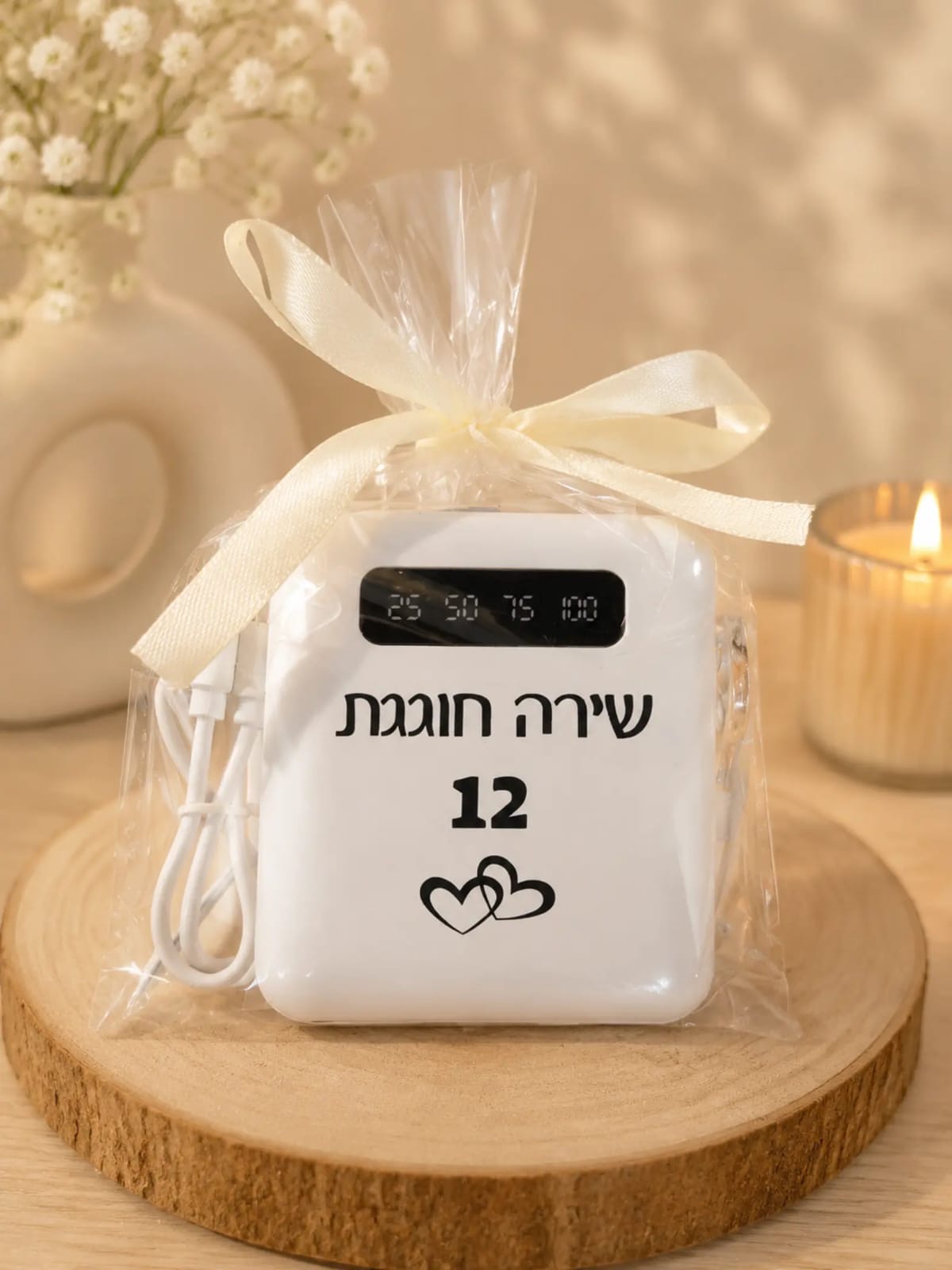 סוללה ניידת ממותגת עם שם